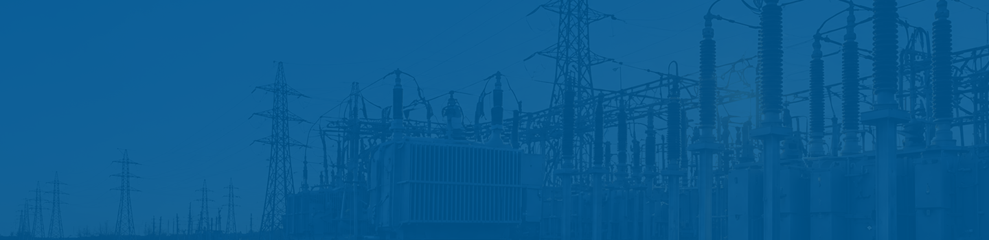 Protection and Control Services